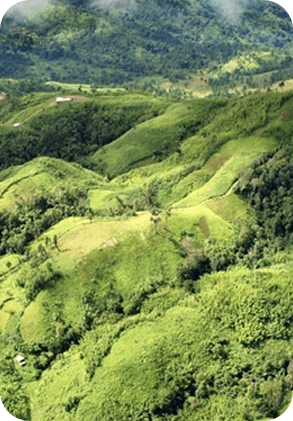 hill